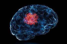 2025/06/brain-memory-order-mental-maps.jpg